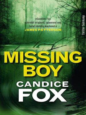 cover image of Missing Boy